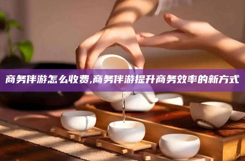 栖霞商务伴游怎么收费,商务伴游提升商务效率的新方式